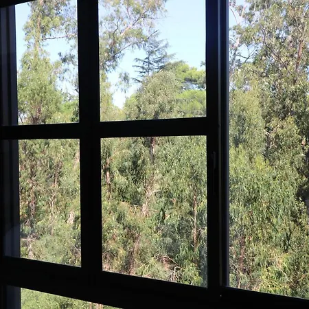 Treetops Apartman