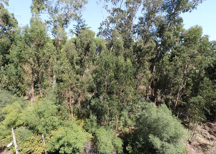 Apartamento Treetops *