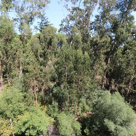 아파트 Treetops *